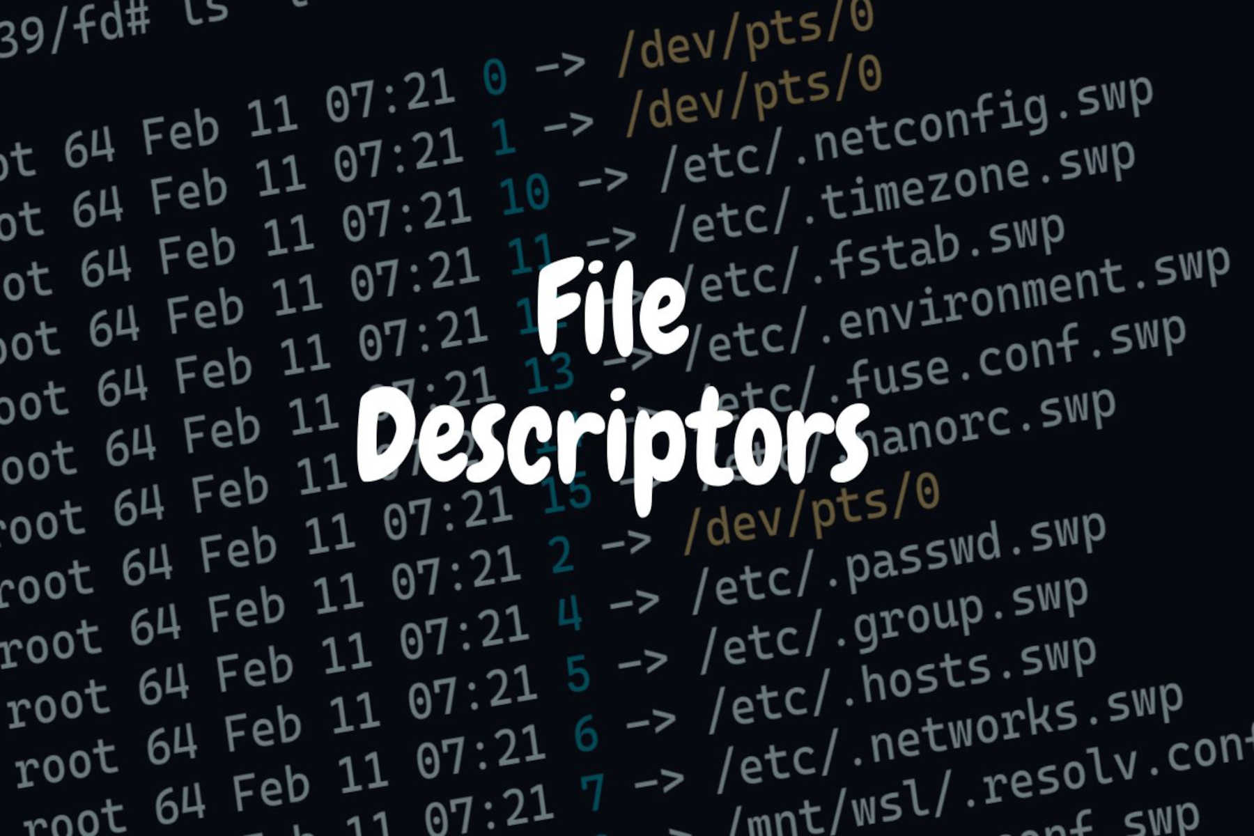 You are currently viewing File Descriptors